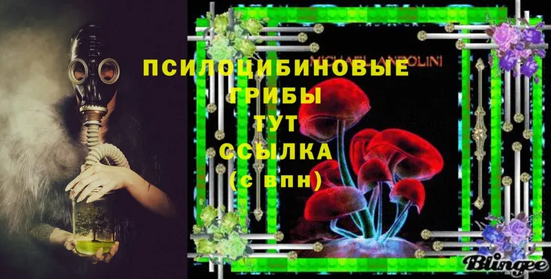 Псилоцибиновые грибы Psilocybe  omg ТОР  darknet состав  купить наркотик  Тетюши 